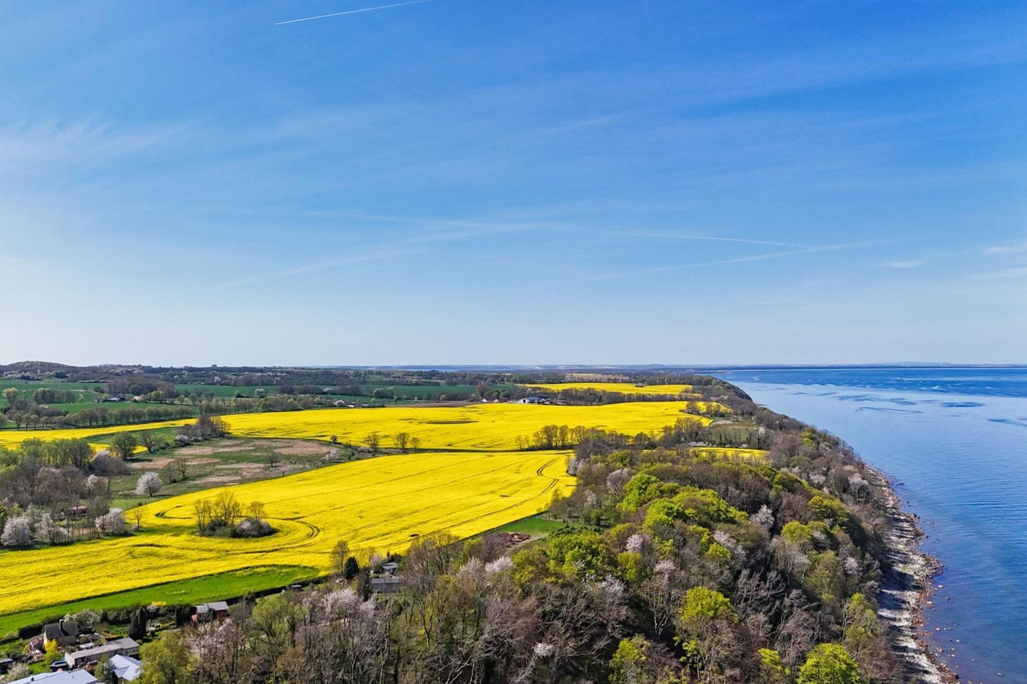 Ferienwohnung Mit Traumhaftem Meerblick - Haus Am Meer Fewo 01 Lohme Exterior foto